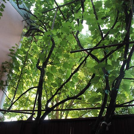 Hostel Old City Sololaki Tbilisi Exteriör bild